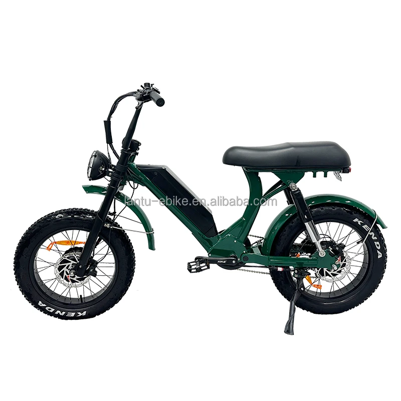 High power 750w 1000w dual motor electric bike all wheel drive electric bicycle with 2 motors ebike for adult