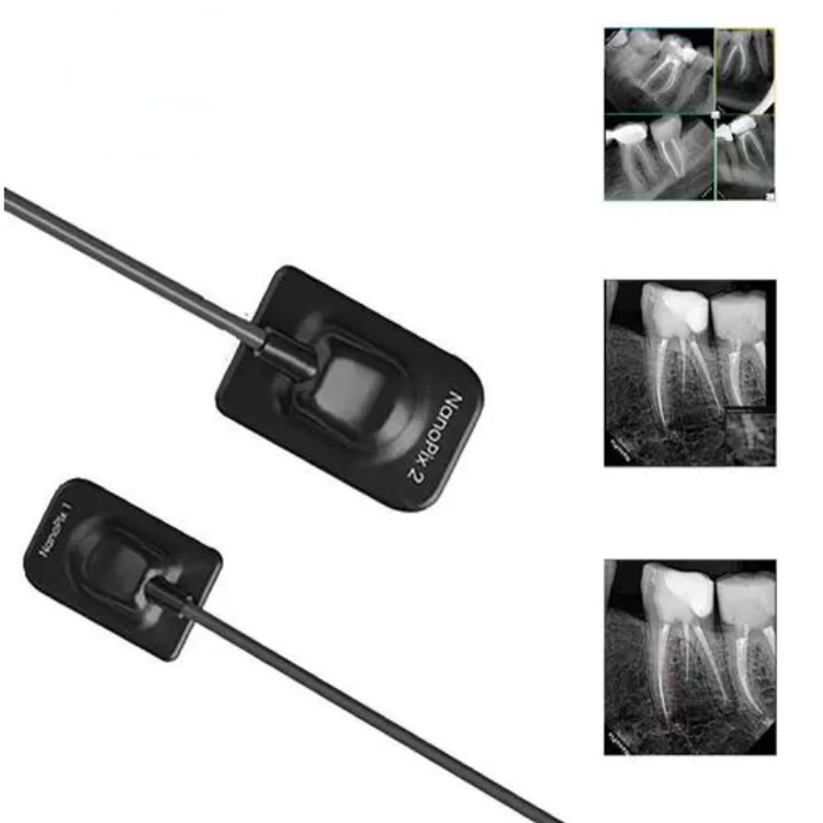 Large Size 2.0 Dental Sensor Digital Dental X-ray Image System HD RVG Sensor