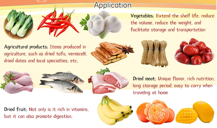 Frrut Vegetable belt dryer machine vacuum mesh belt dryer drying machine