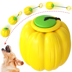 MAHOO Dropshipping DOG YOYO BALL Dog Training Toy Molar Bite Ball Durable Ball Pet Dog chew Toy
