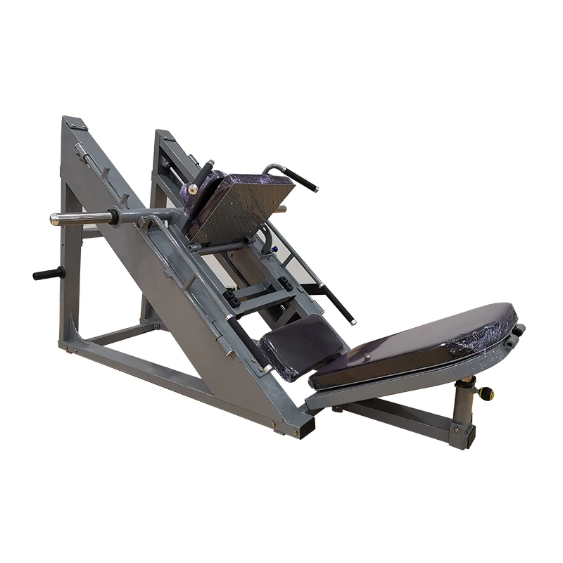 Home Gym With  Leg Press Hack Squat Combo Hackenschmidt Leg Press