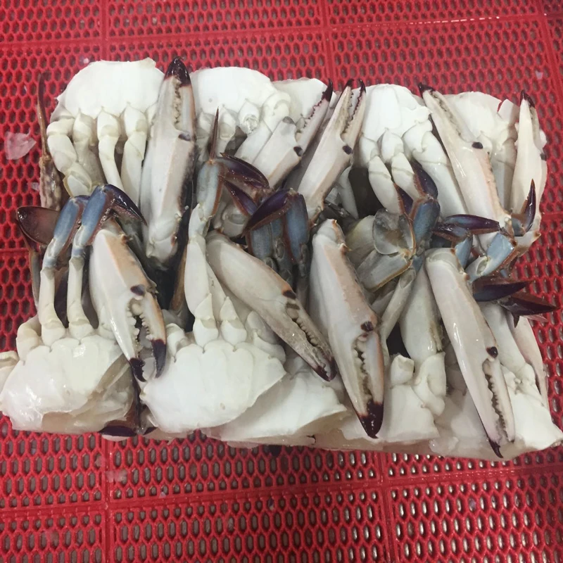 best service BLUE CRAB Sales Price fat Frozen Crab cut crab raw material block in stock