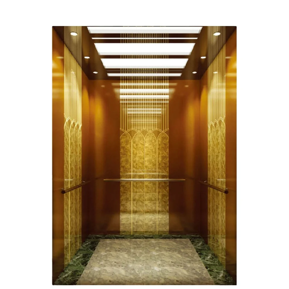 Китайский поставщик Лучшая цена домашний пассажирский лифт с хорошим тяговым