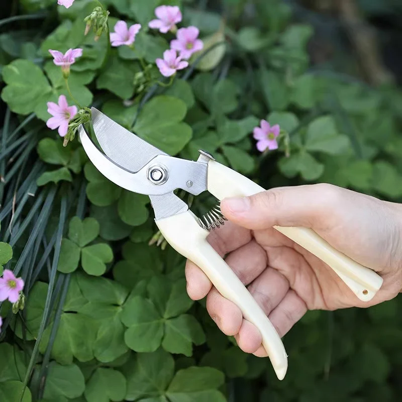 Sharp Garden Shears for Cutting Flowers, Trimming Plants Curve Garden Scissor