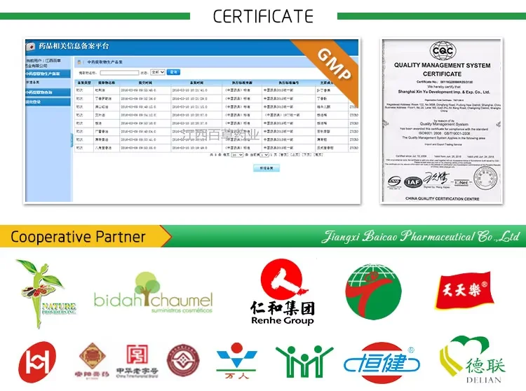 Wholesale Bulk Evening Primrose Essential Oil for Hair Nail High Quality Carrier Oil Linoleic Acid Capsule Best Price