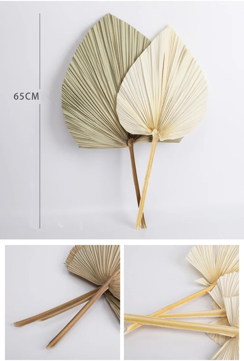 Wholesale Dried Artificial Fan Decorative Preserved Dried Leaf Palm Tree Leaves For Wedding Scene Decoration