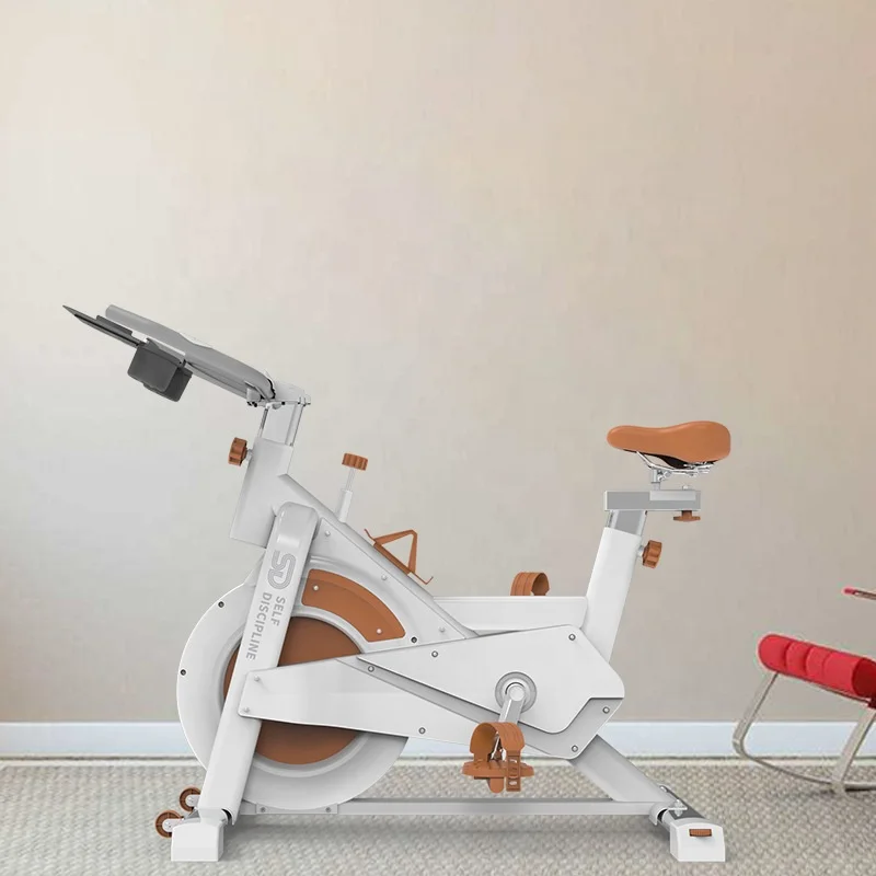 Indoor Fitness Equipment Exercise Professional Silent Heavy Duty Smart Spinning Bike