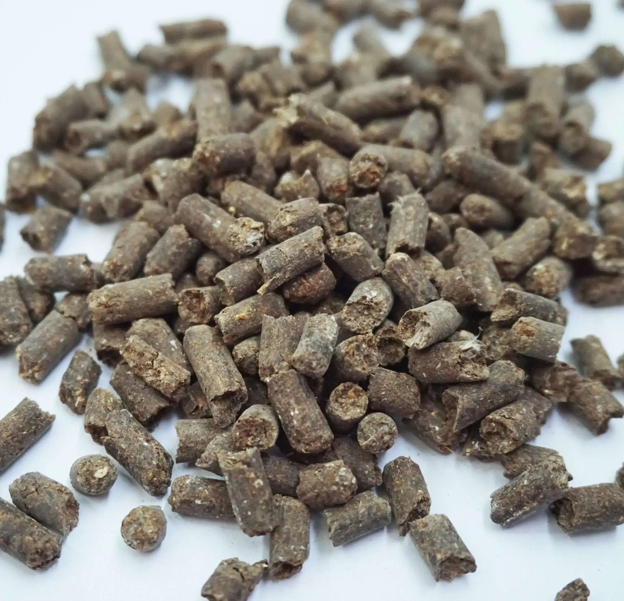 20220519112049.jpg