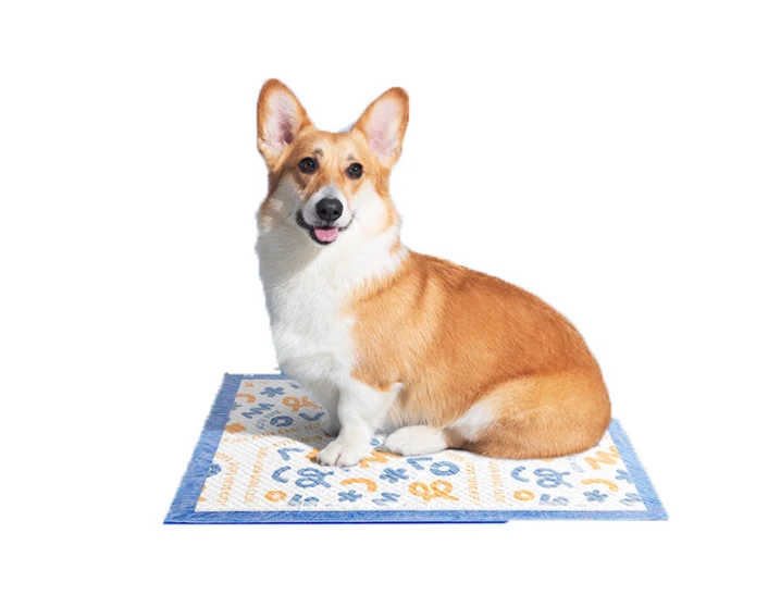 Legend Disposable Puppy Training Pads 110 X 110 Leak Proof 5 Layer Eco Friendly Puppy Pee Pad