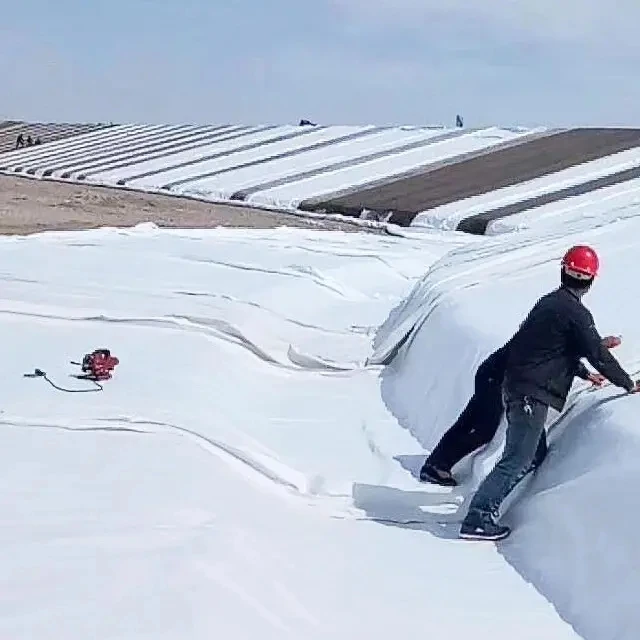 Hdpe/PP Uniaxial 25kn Geogrid For Roadbed Reinforcement Various Specifications of Needle Punch Geotextiles short Fiber