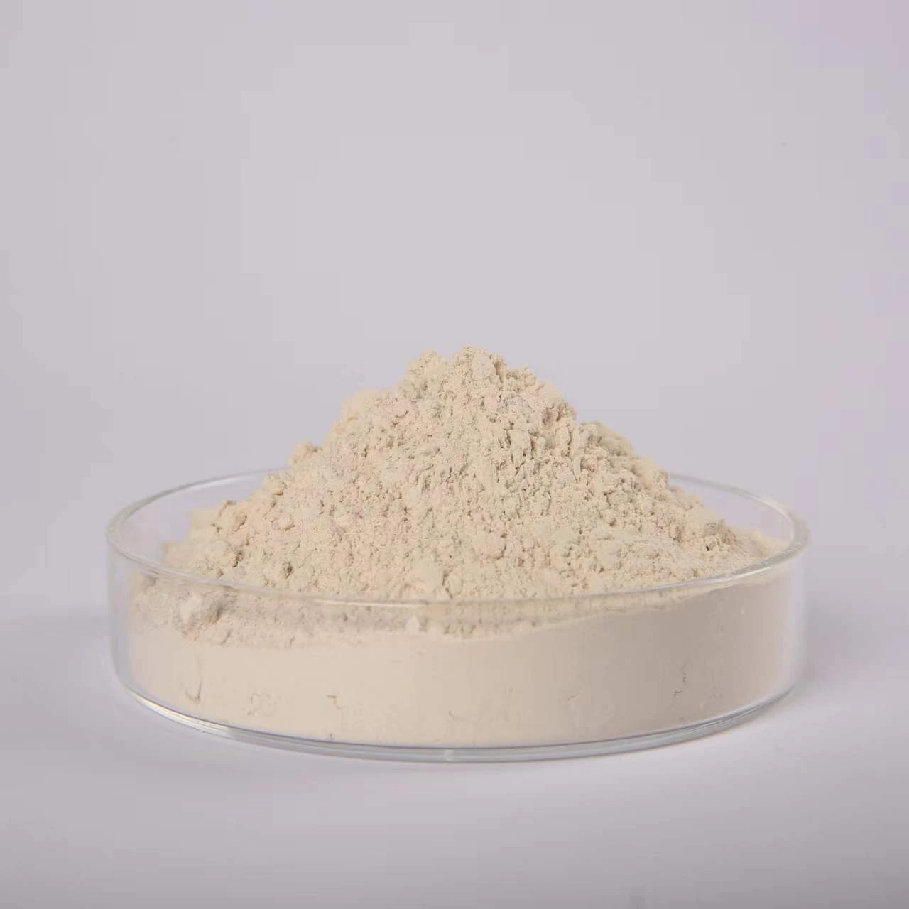 serrapeptase the inflammatory edema of rat skin caused by various pro-inflammatory