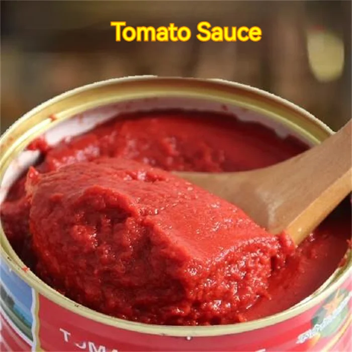 Custom Logo tomato sauce package tomato ketchup 3kg canned tomato paste