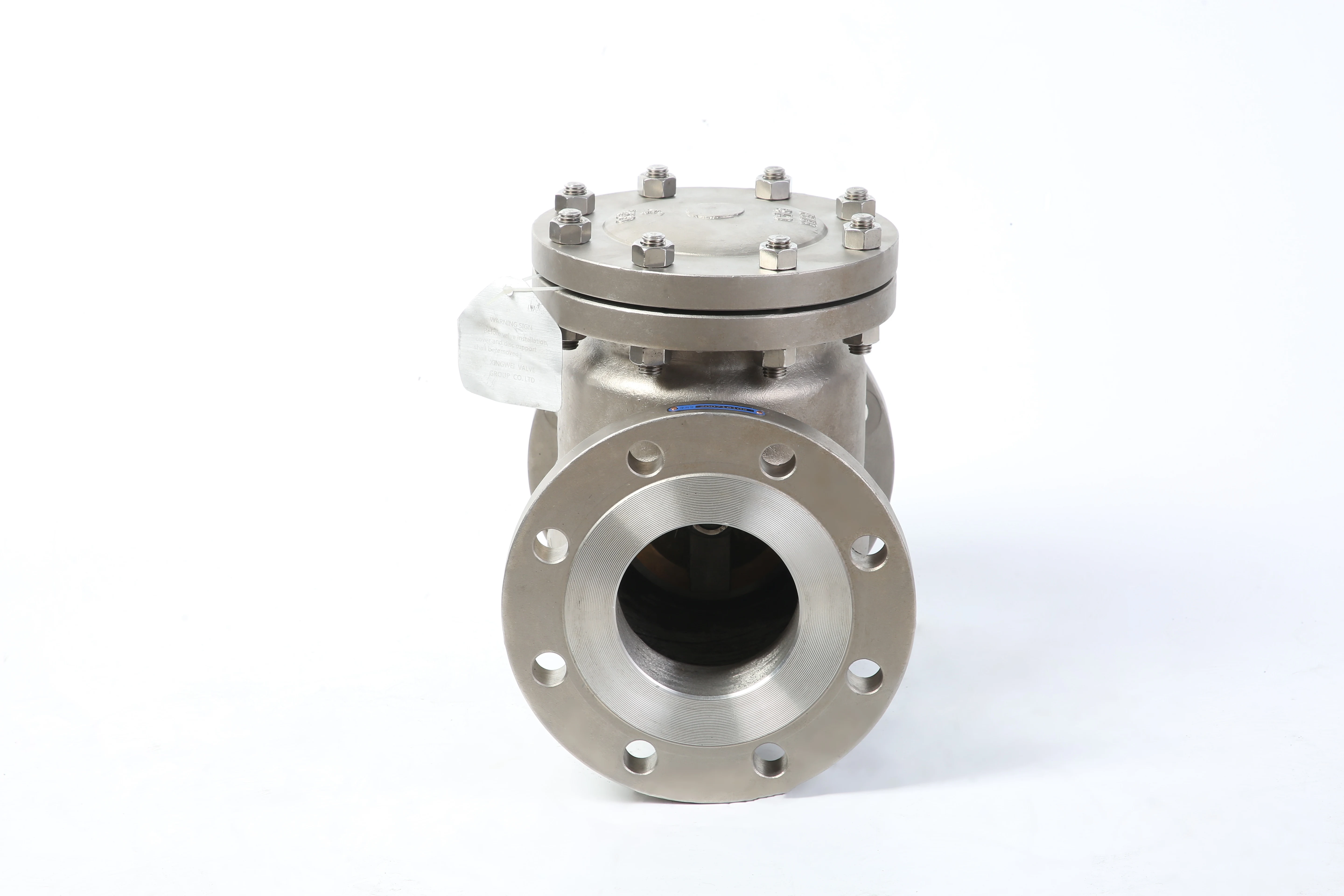 stainless steel 304 vertical check valve flange bolted bonnet