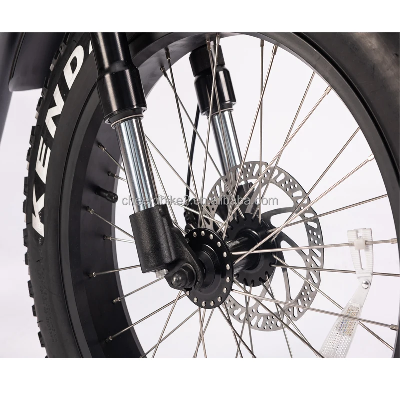 electric fatbike female 9.jpg