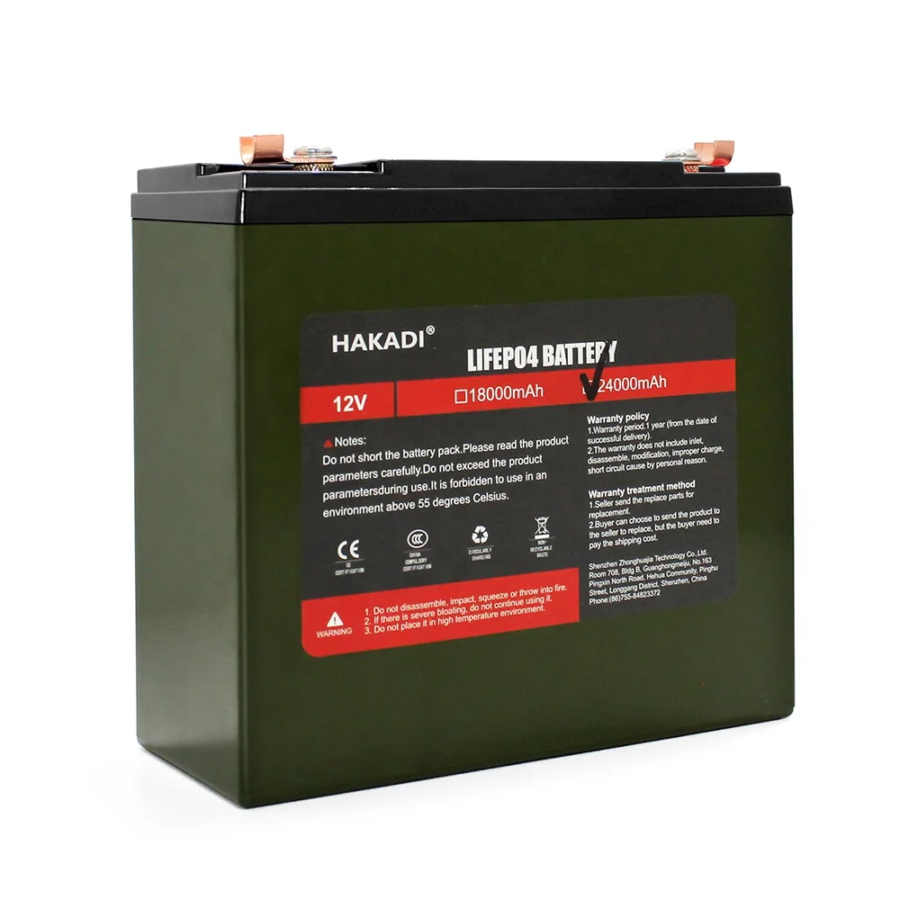 Lifepo4 Battery Pack 12v 6ah 12ah 18ah 24ah Rechargeable Lithium With Charger Accept