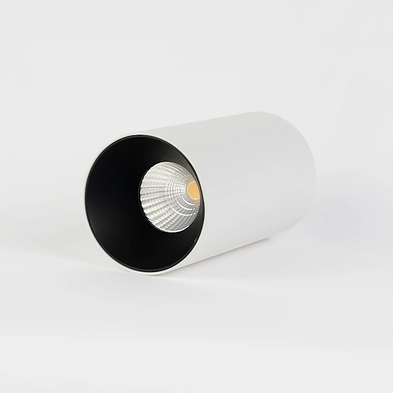 LED Ceiling Downlight 10W Modern Design Ceiling Spotlight For Home Hotel Decoration Ceiling Mounted LED Downlight Fixtures