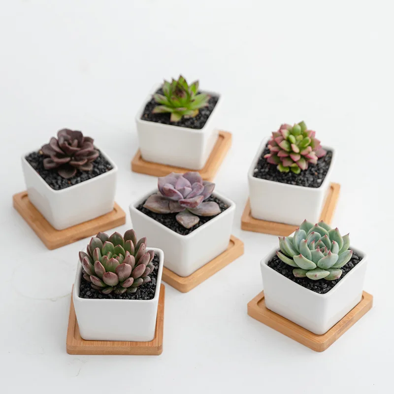 Wholesale White Mini Cute Square Ceramic Flower Pots For Plants