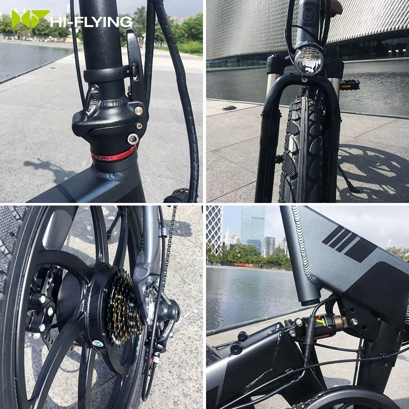 European Warehouse Eco-flying Limited 2 Wheels Electric Bicycle 36V 250W City Adult Electric Bicycle