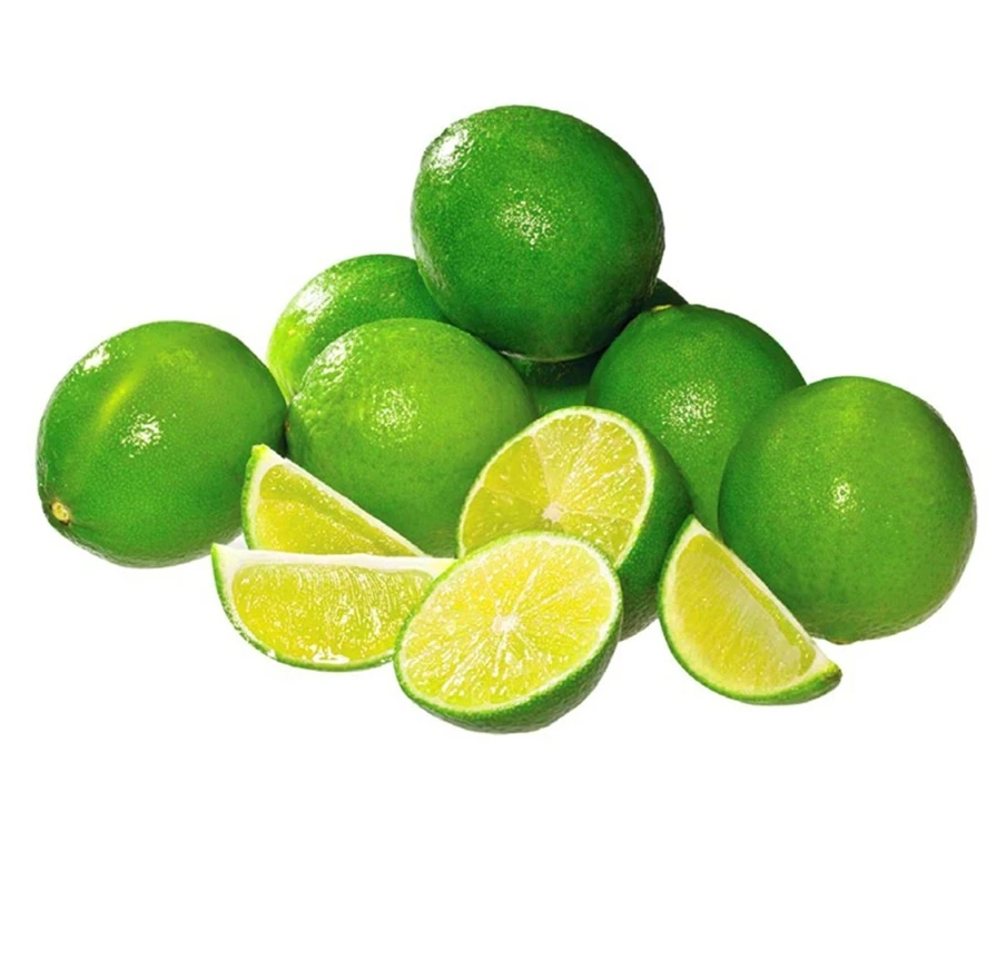 100% Fresh lemon/Fresh Green Seedless Lime and Green Sour Lime Fresh Citrus Fruit Origin Vietnam with Packing Box for Sale