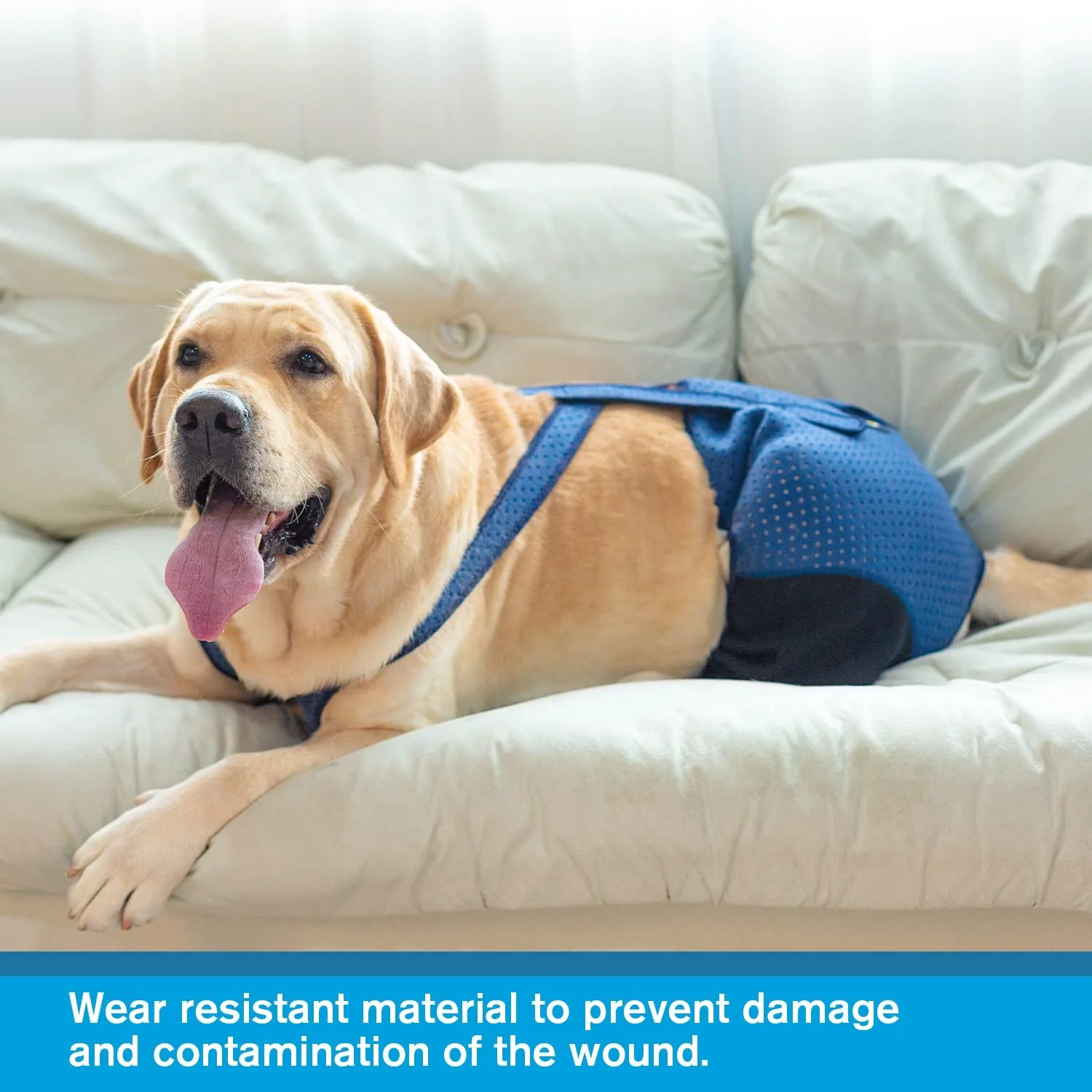 Dog Recovery Suit, Cone Collar Alternative, Abrasion Resistant Dog Recovery Rear Sleeves Washable 2.5mm Thick recovery suite