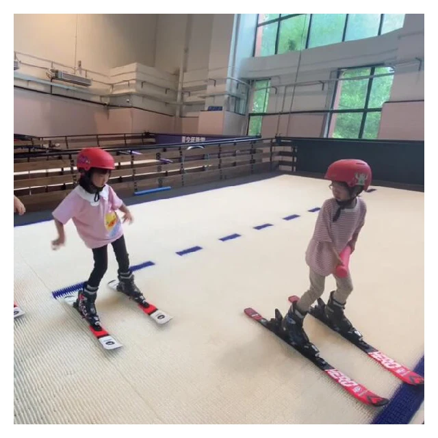 SNOW MONKEY Professional indoor endless skiing training dry ski machine