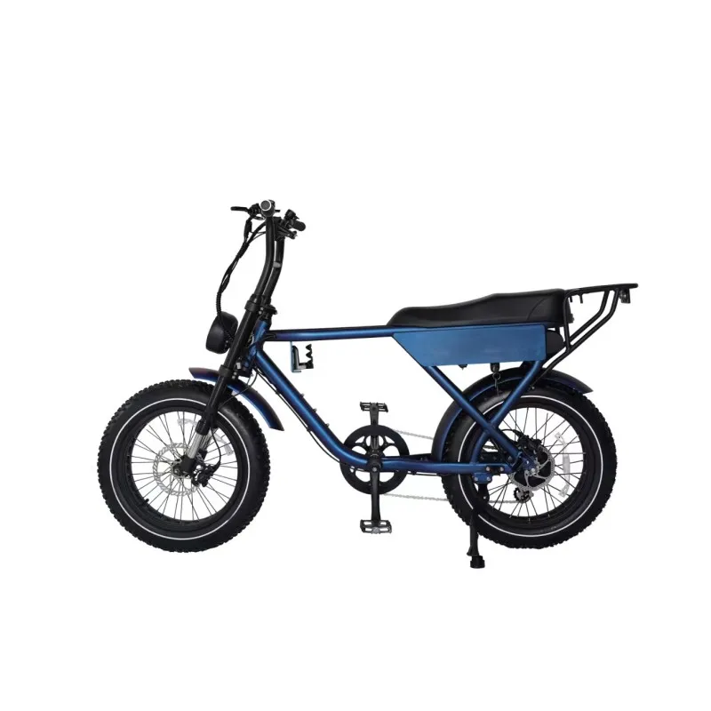 20 inch 36 V 250 W aluminum alloy  electric bicycle