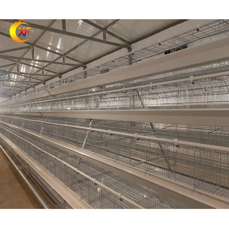 Cheap Price Poultry Farm Equipment Animal Cages Laying Hens Poultry Cages 3 Tiers Mesh Chicken Cage for 10000 Chicken Farm