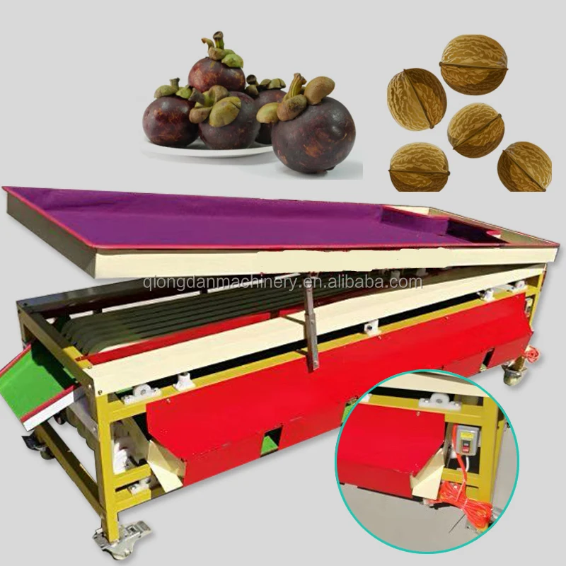 Vegetable/fruit sorting machine Olive Jujube Date palm Plum lemon Strawberry Blueberry Shame Areca Mangosteen grading machine