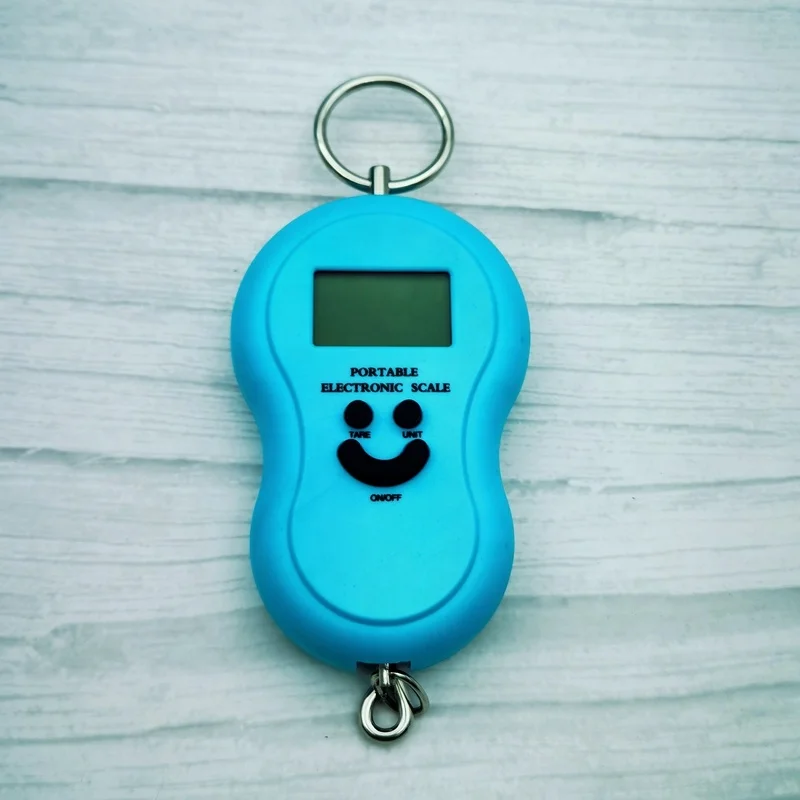 50KG Mini Digital Scale For Fishing Travel Weighting Kitchen Steelyard Hanging Electronic Hook Food Luggage Scale