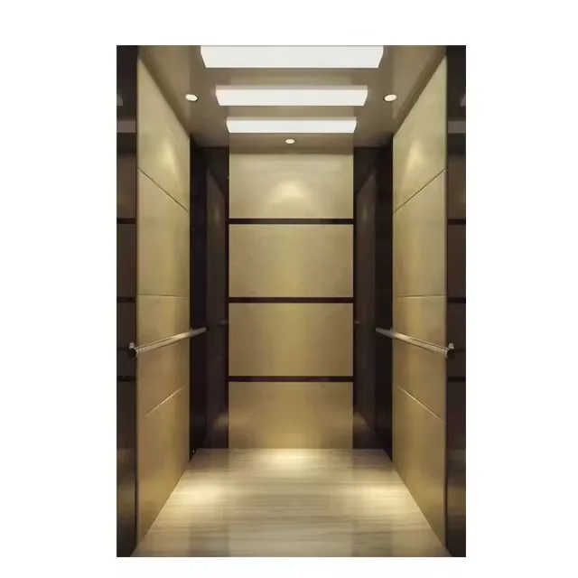Customized differentiated price automatic building office passenger elevator for 4-6 person