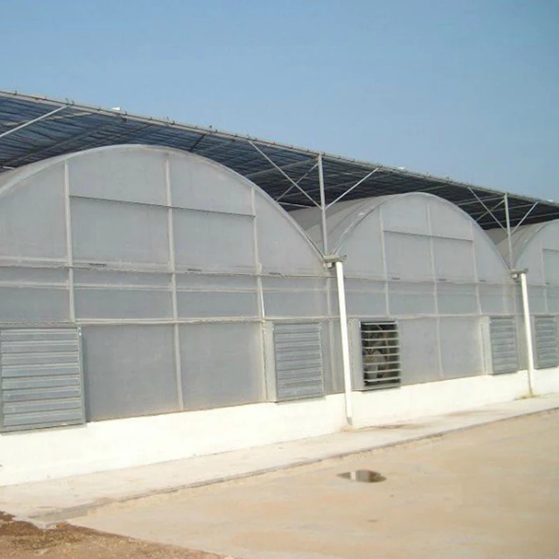 The best selling tomato greenhouse heating system in the winter