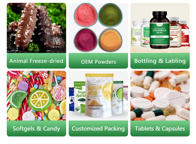 Wholesale Bulk Food Grade Soybean Extract 20% 50% 70% 90% 95% 98% Phosphatidylcholine Powder Phosphatidylcholine