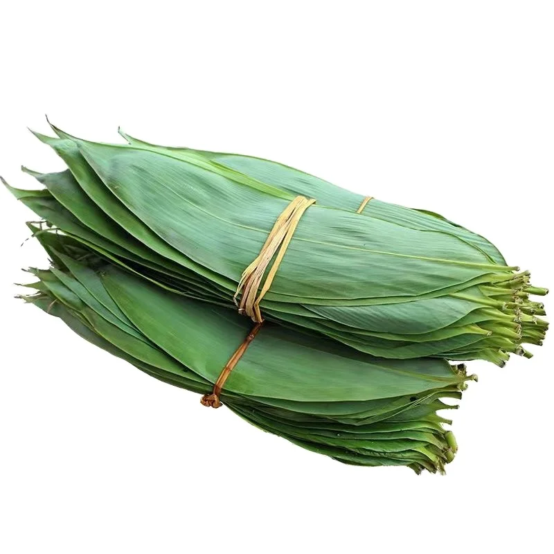 Bamboo Leaf Bamboo Leaf Leaf For Sushi Restaurant Raw Materials For Chinese Traditional Food