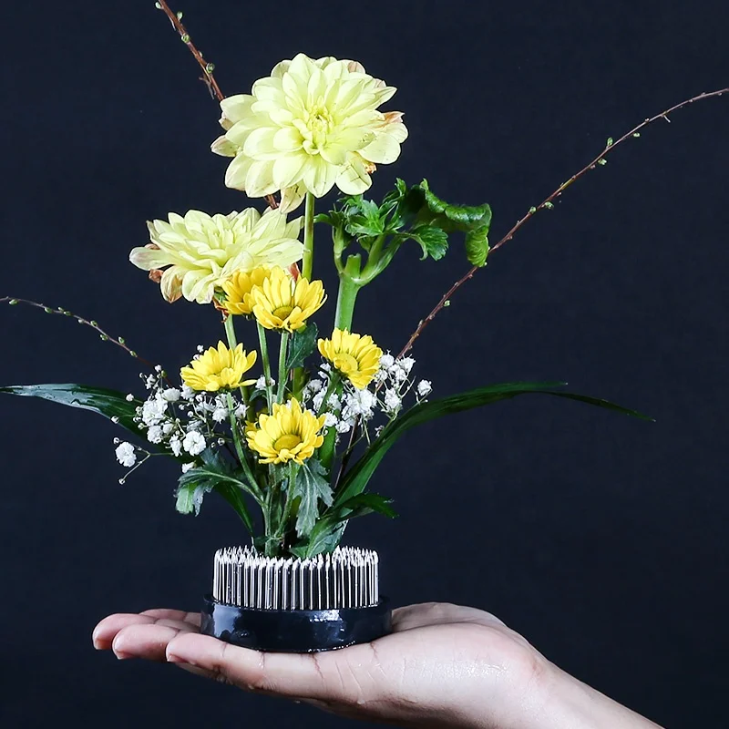 Kenzan Flower Arrangement Stainless Steel Needle Xiaoyuan Liuchifang Japanese Chinese Ware Base Pin Fixation Tool