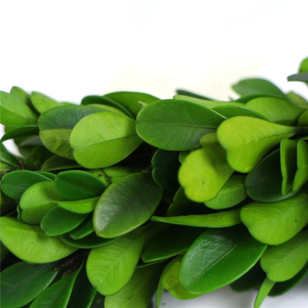 home interior natural square boxwood wreath preserved for sale