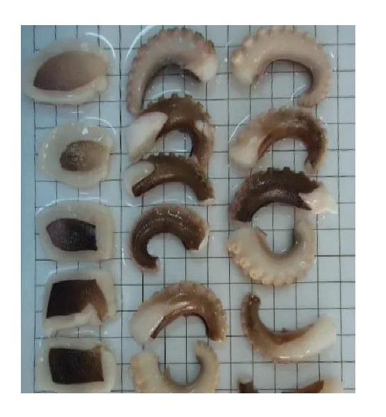
Vietnam Supplier Frozen Octopus Boiled Cut 