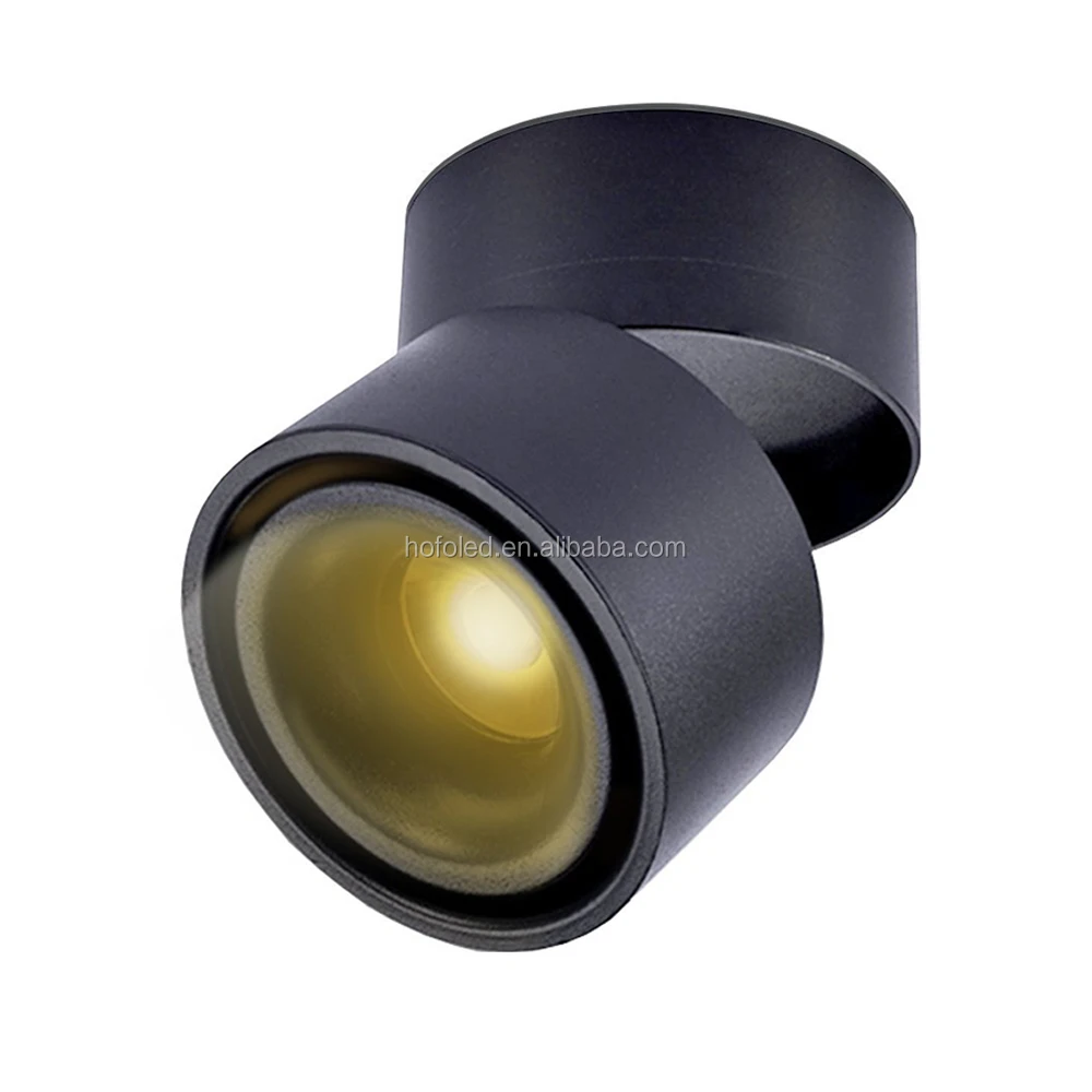 100mm 3inch Diameter Adjustable IP65 Surface Mounted LED Recessed Downlight 10W