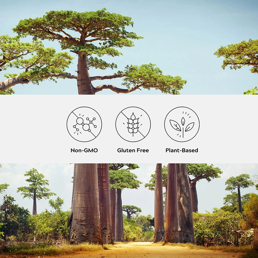 Premium Superfoods Organic Baobab Extract with Alpha-Lipoic Acid Advance Formula for Immune Support Overall Health