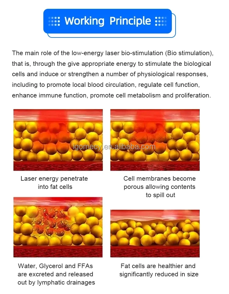 2024--6D-Lipo-Laser-635nm-650nm-780nm-810nm-940nm-980nm-Lipolaser-Body-Slimming-Machine