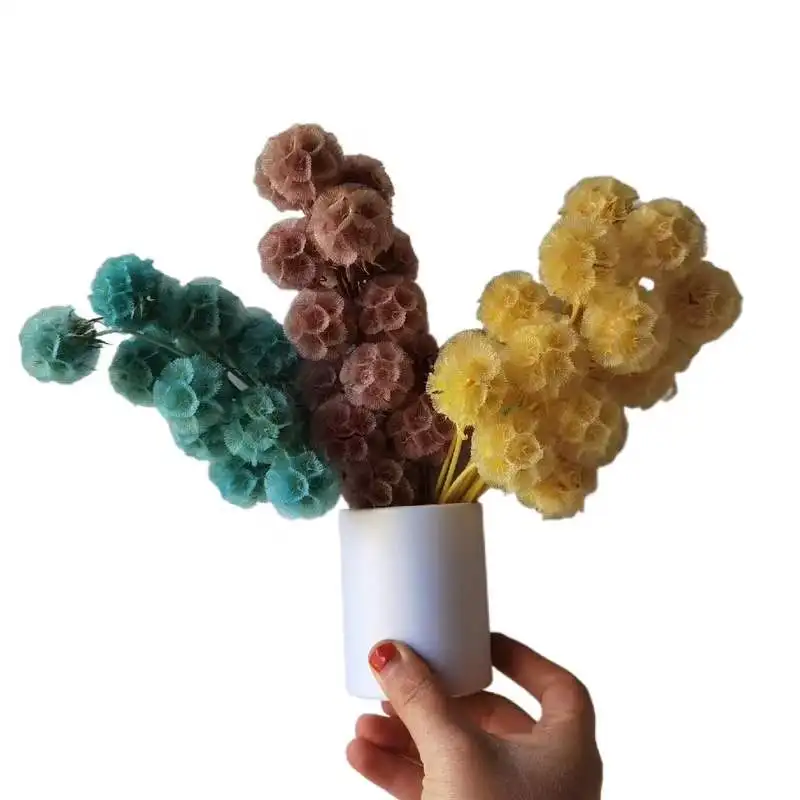 2022 New Windmill Fruit Preserved Pine Cone Fruit Flowers Preserved