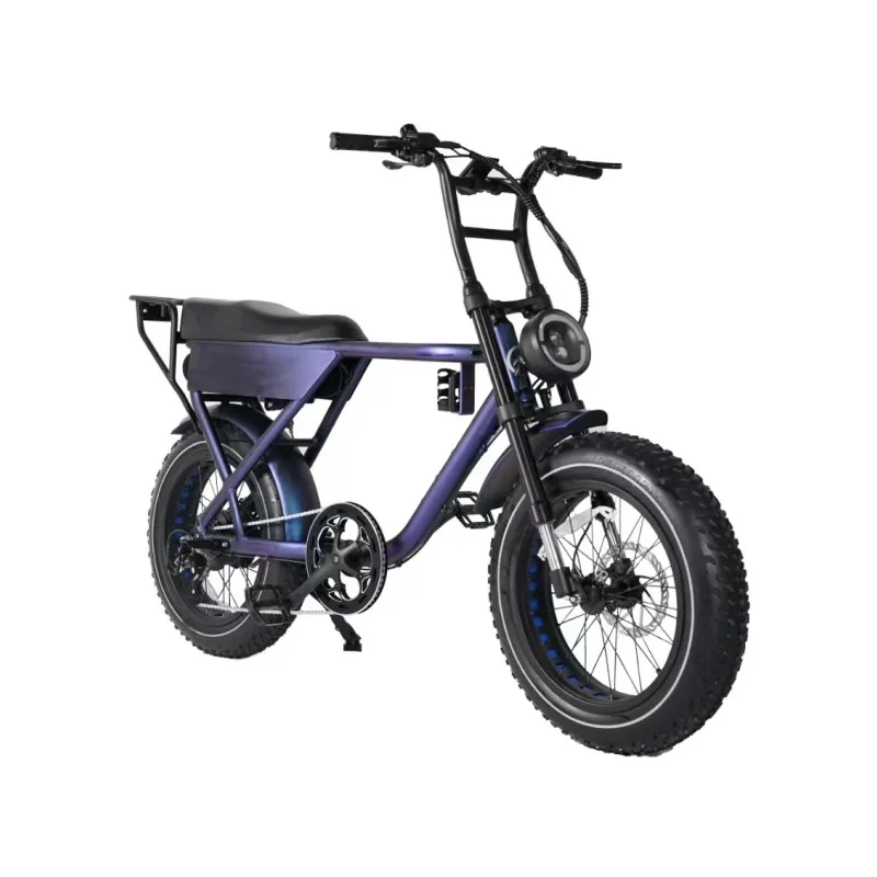 20 inch 36 V 250 W aluminum alloy  electric bicycle