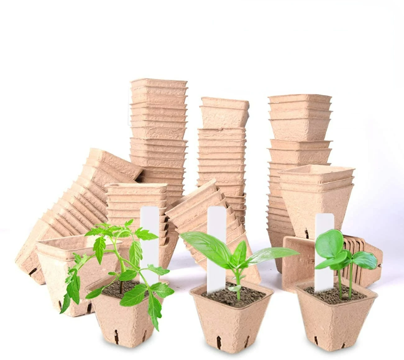 Garden Germination Tray for Flower Plant Seedling Saplings & Herb Seed Starters Kit Square Biodegradable Peat Pots Kit Plant