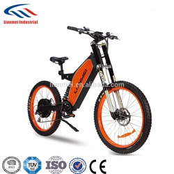 Lithium mountain downhill type e bike two wheels 48v electric bicycle electric city bike