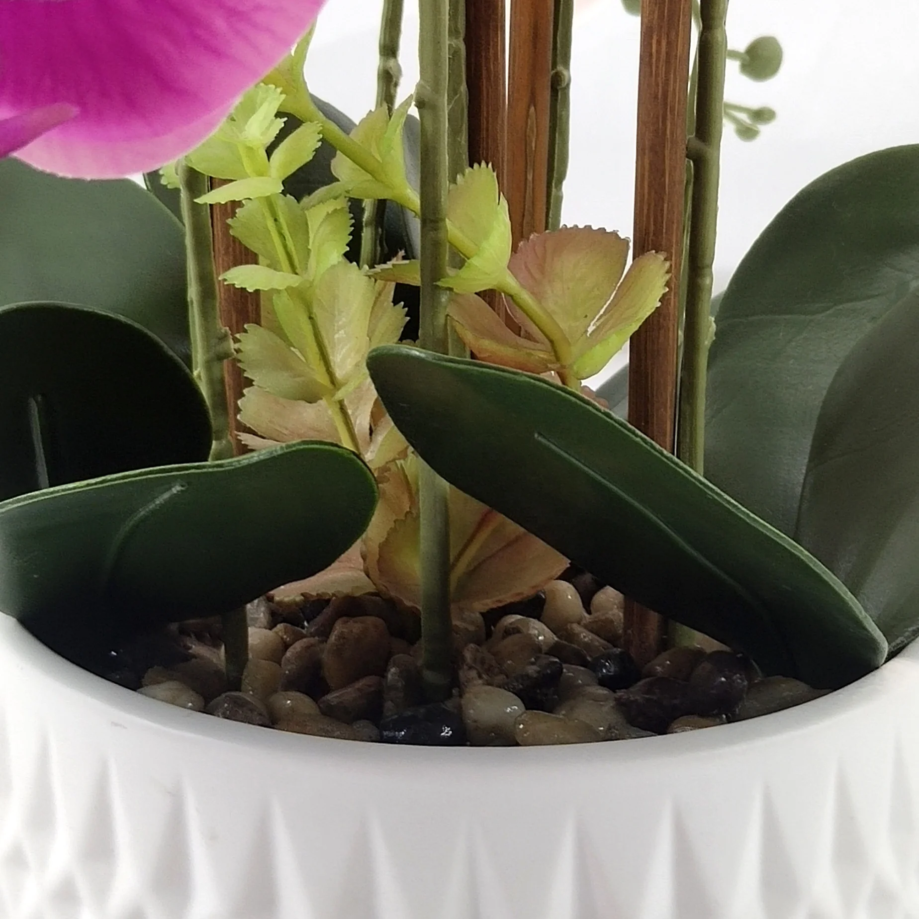 Wholesale Dendrobium Cattleya Orchid Plants Silk Preserved White Phalaenopsis Orchid Pot Artificial Orchid In The Pot