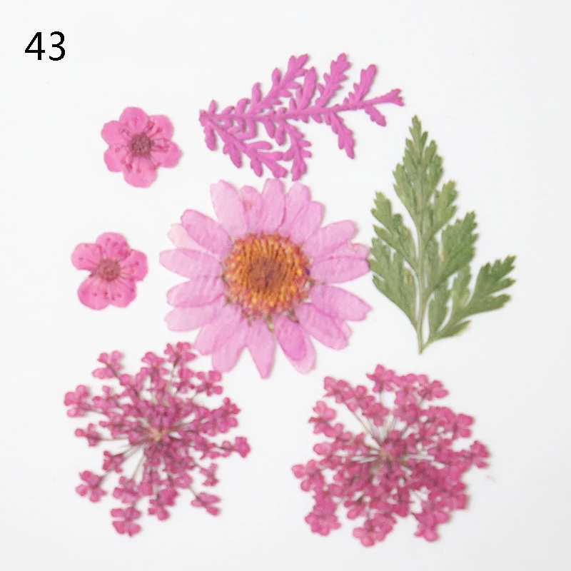 
2020 most popular natural dried flowers dried pressed flowers for decoration 