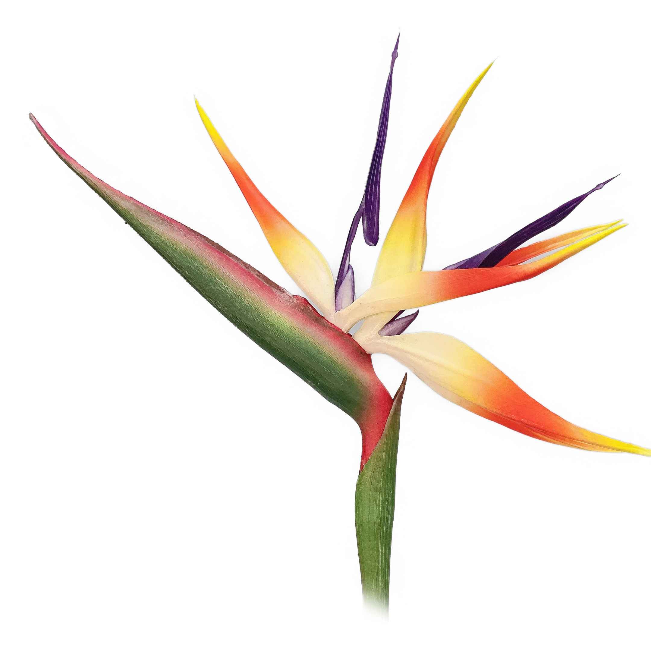 Искусственный цветок птица рая для украшения дома оптовая продажа с фабрики