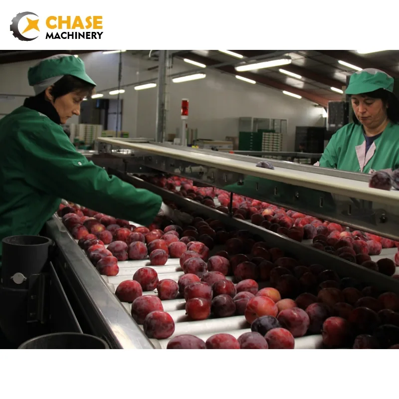 
Plum Puree Jam Dried Plum Making Production Concentrated Processing Equipment 