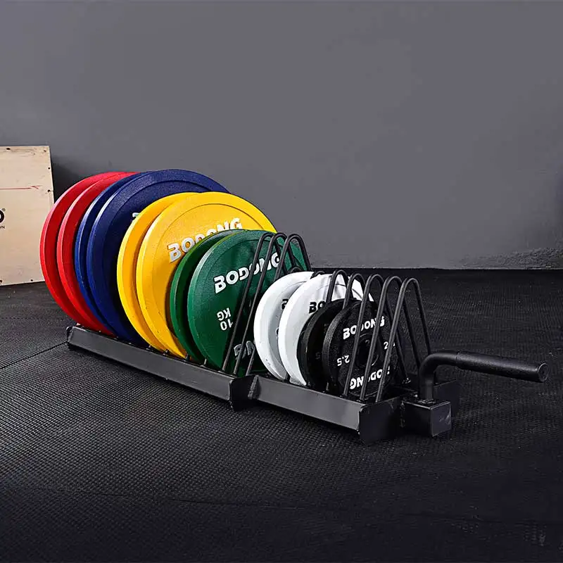 Competition Weight Plates Strength Training Cast Iron Fitness Equipment Calibrated Weight Plates