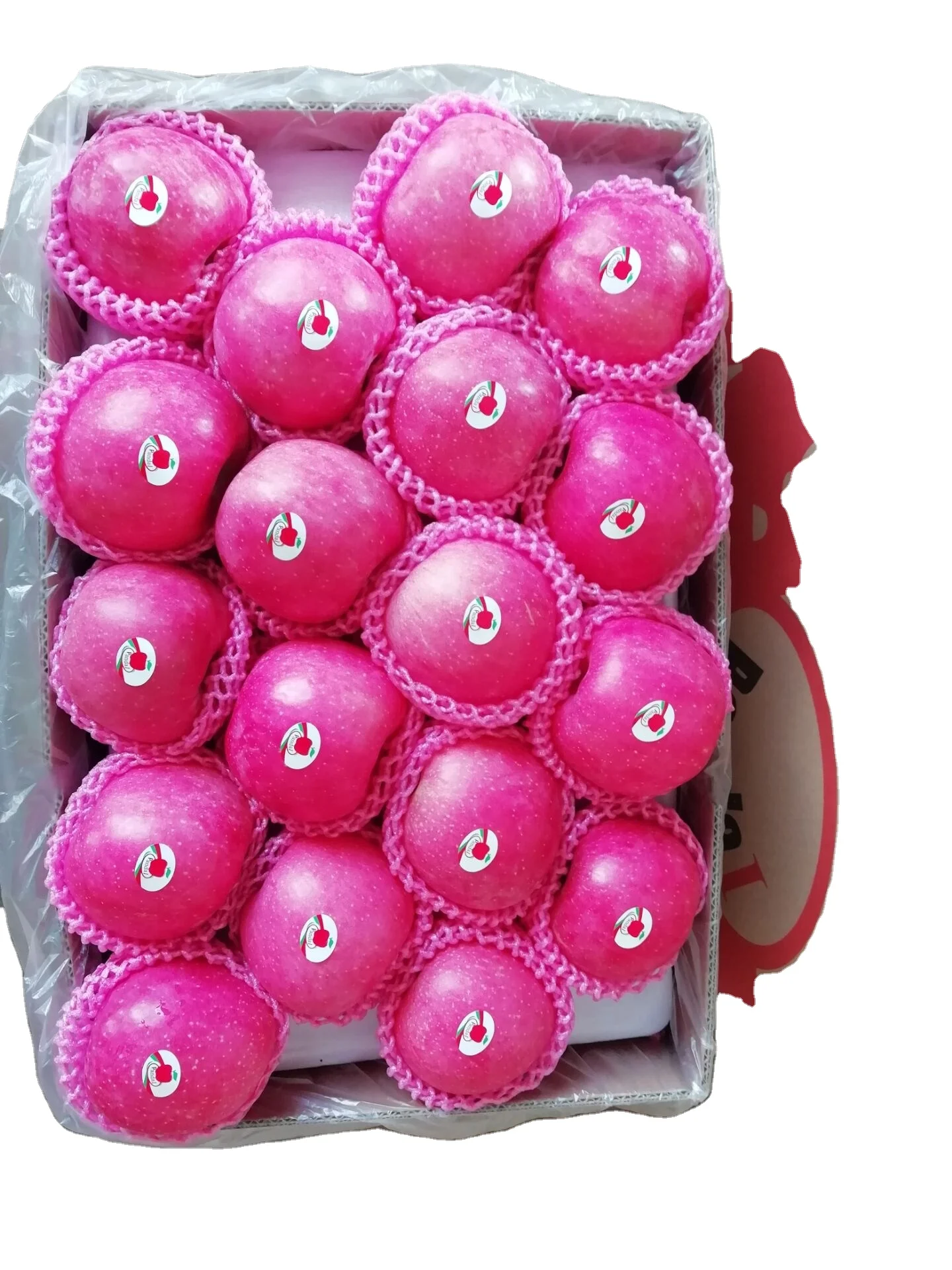 
Fuji apel exporter from china 