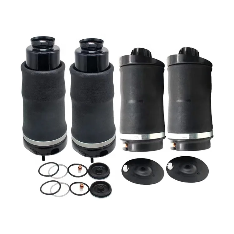2513203013 2513205613 Auto parts Rear Air Suspension Struts for Benz R-Class W251 Air Spring repair kit